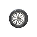 لاستیک گلدستون گل GS2020 سایز 185/60R14 - Image 2