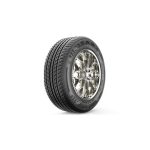 لاستیک رازی گل RG550 سایز 205/60R14